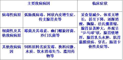 兽药厂家腺胃肌胃炎治疗方案 - 禽病方案 - 山东中兽药厂家,禽药兽药公司_迅达康兽药有限公司官网